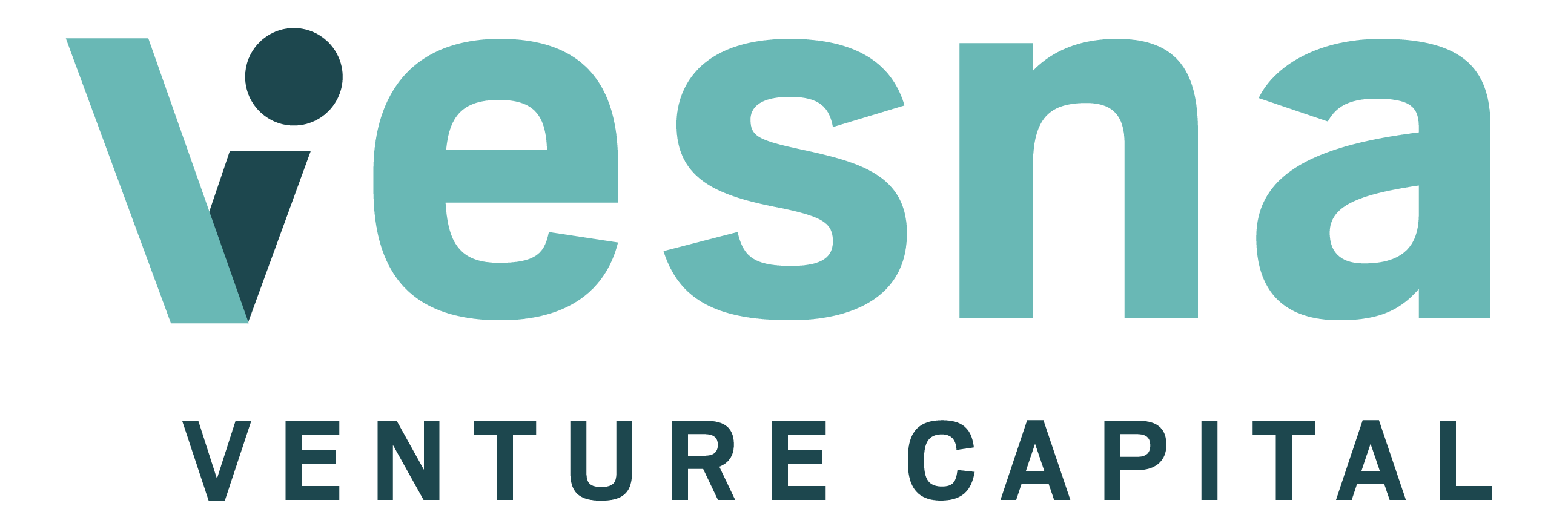 Vesna Venture Capital